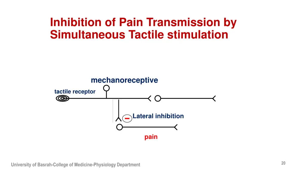 inhibition of pain transmission by simultaneous