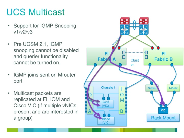 ucs multicast