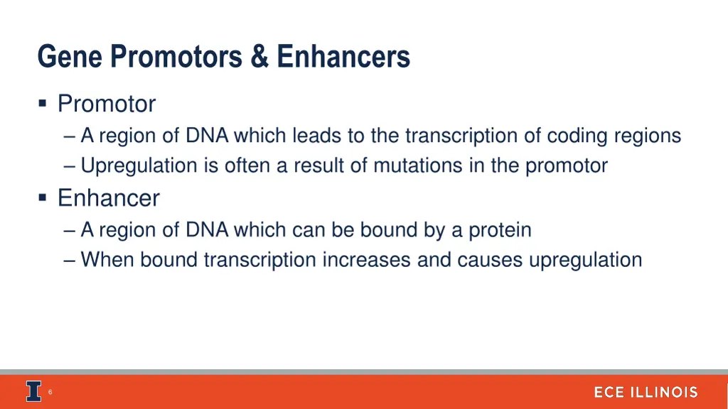 gene promotors enhancers