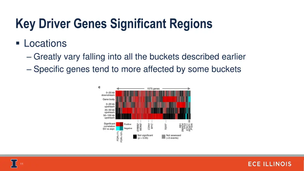 key driver genes significant regions 1