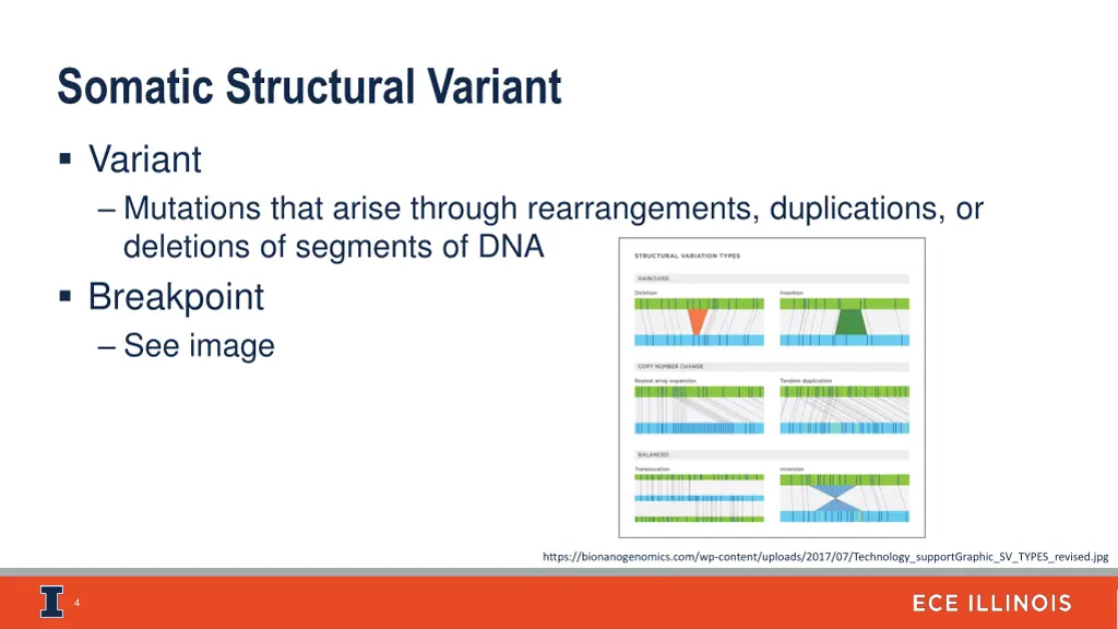 somatic structural variant