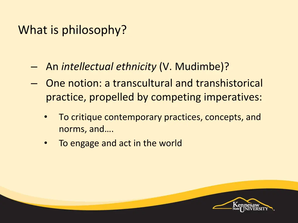 what is philosophy an intellectual ethnicity
