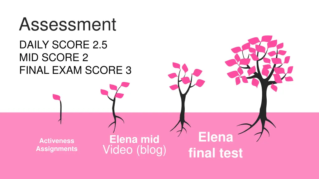 assessment