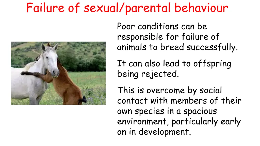 failure of sexual parental behaviour