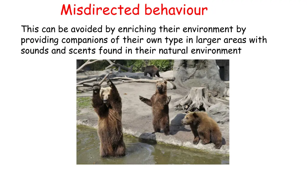 misdirected behaviour this can be avoided