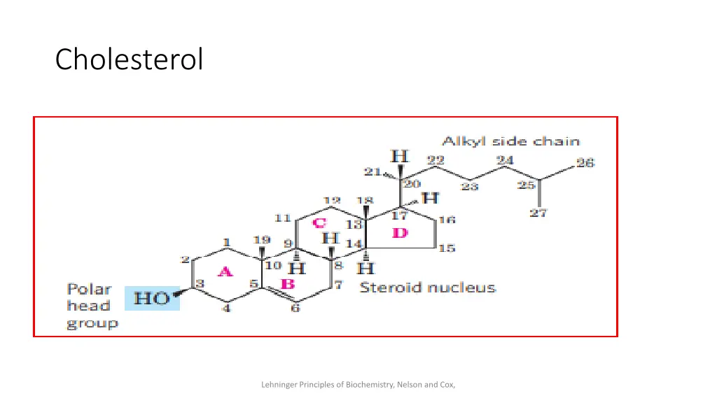 cholesterol