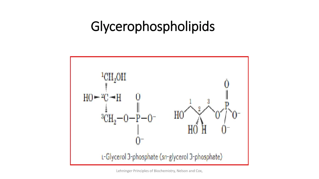 glycerophospholipids glycerophospholipids