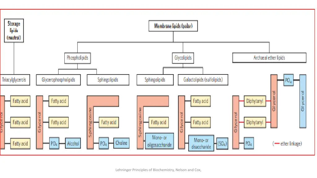 lehninger principles of biochemistry nelson 1