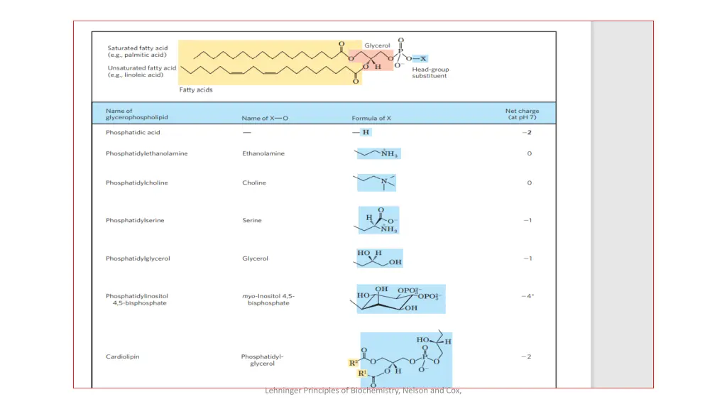 lehninger principles of biochemistry nelson 2