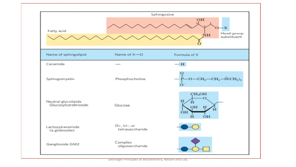 lehninger principles of biochemistry nelson 3