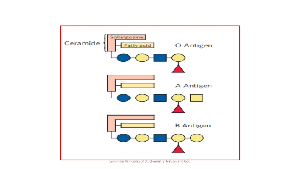 lehninger principles of biochemistry nelson 4