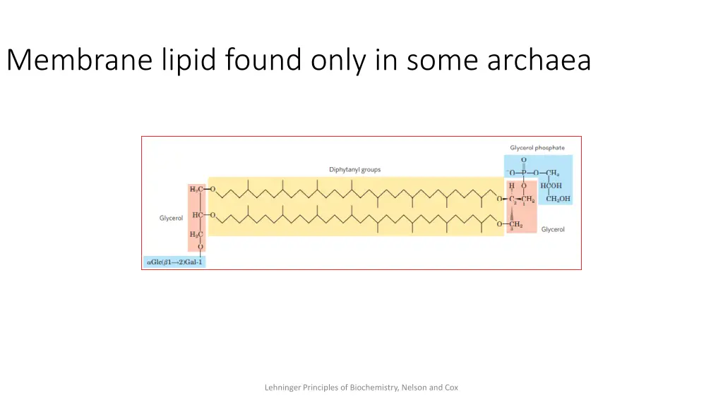 membrane lipid found only in some archaea