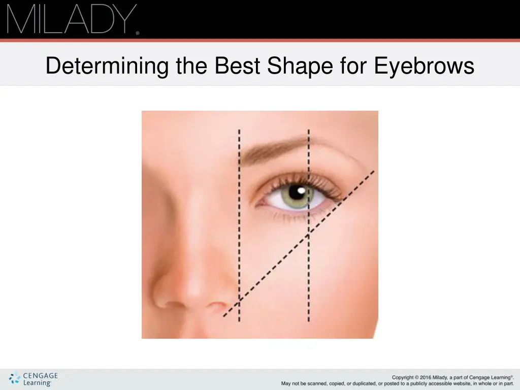 determining the best shape for eyebrows