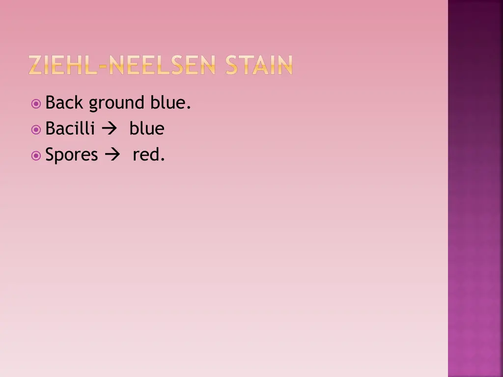 ziehl neelsen stain