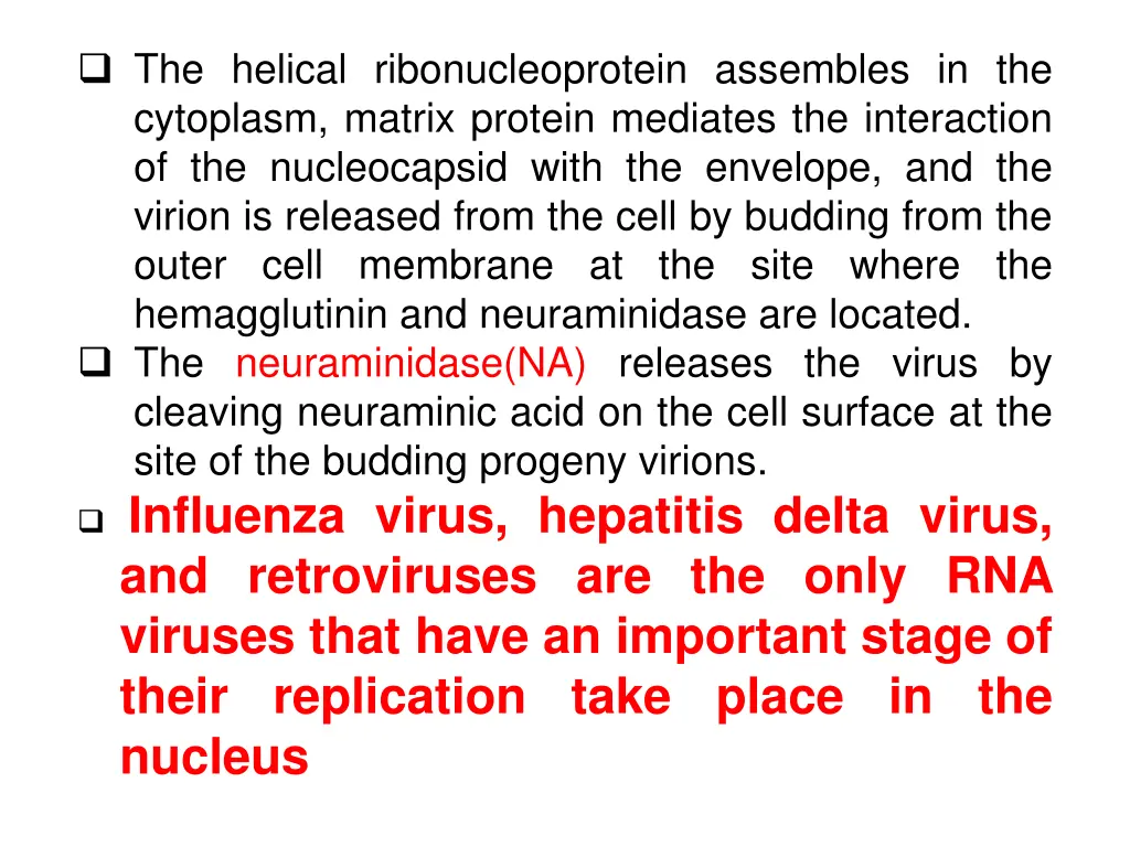 the helical ribonucleoprotein assembles