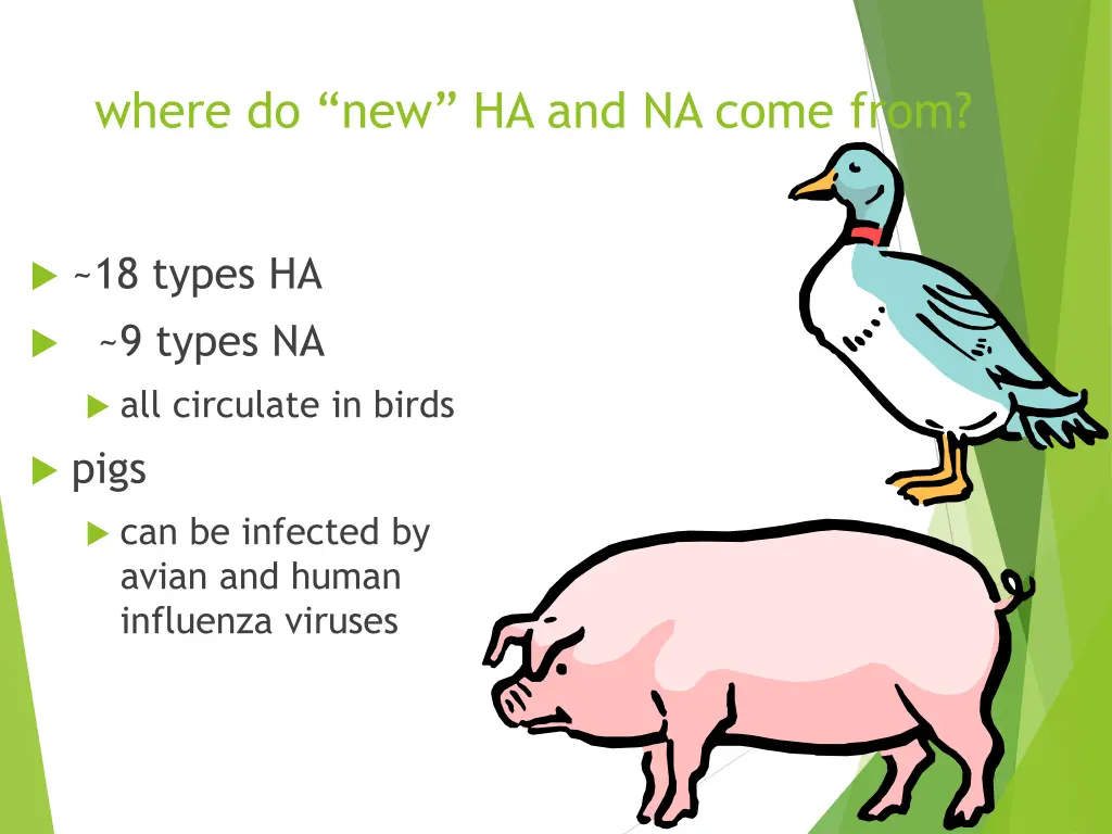 where do new ha and na come from