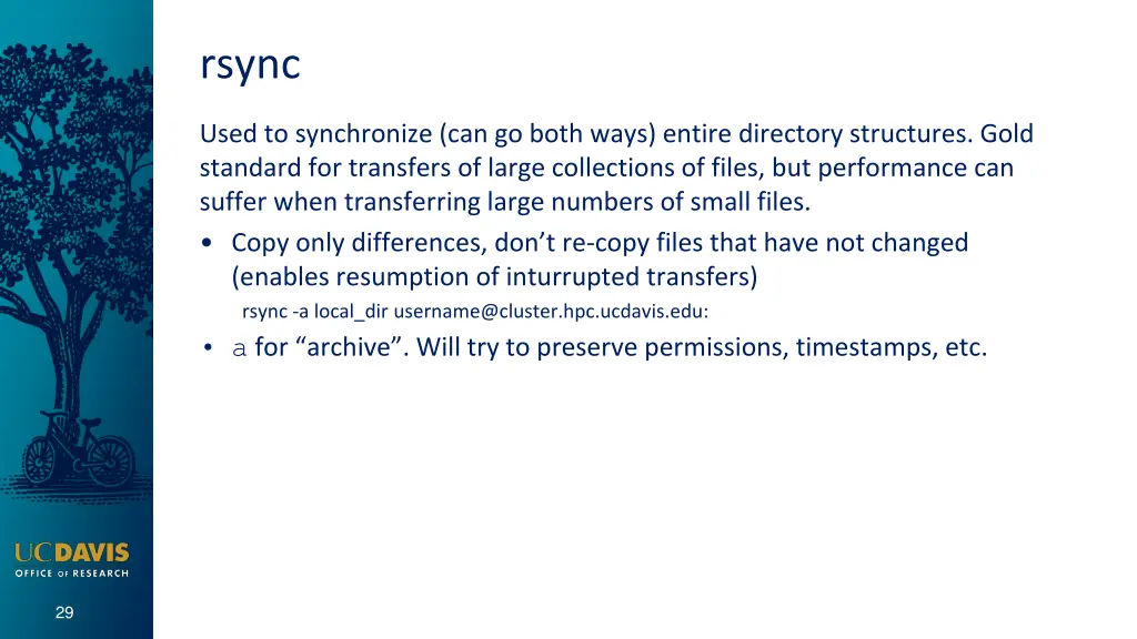 rsync