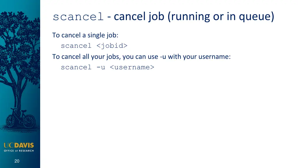 scancel cancel job running or in queue
