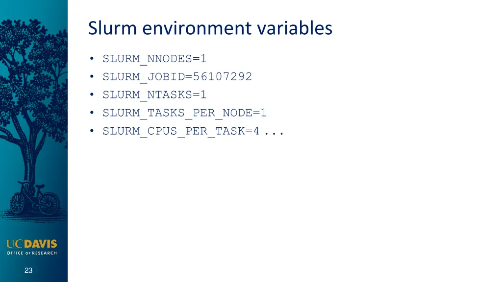 slurm environment variables