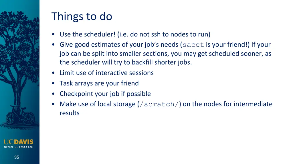 things to do