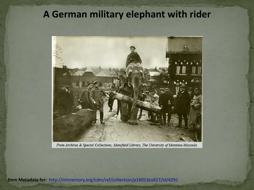 a german military elephant with rider