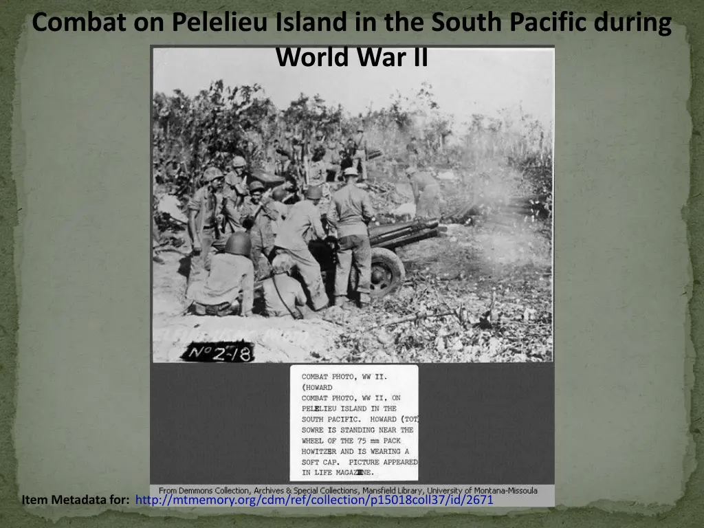 combat on pelelieu island in the south pacific