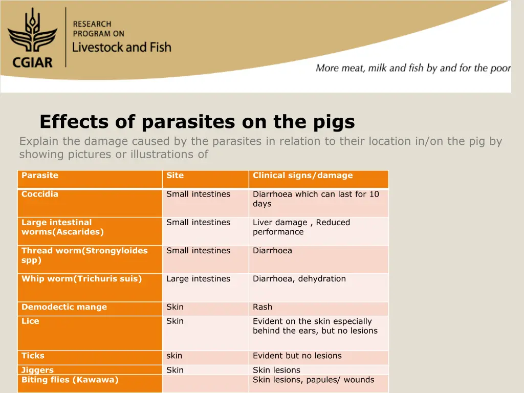 effects of parasites on the pigs explain