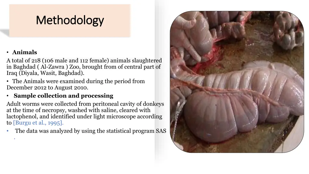 methodology methodology