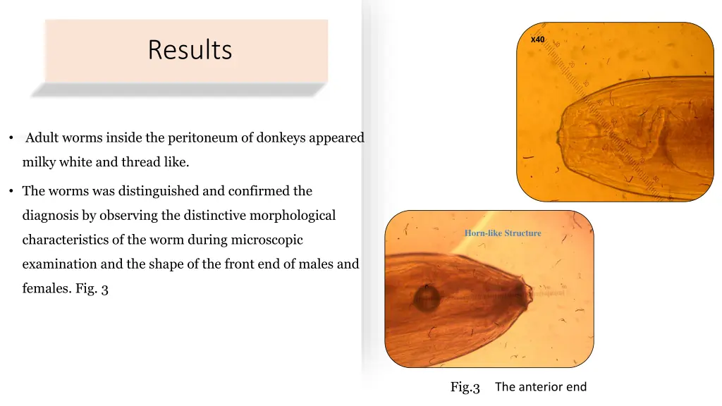 slide10