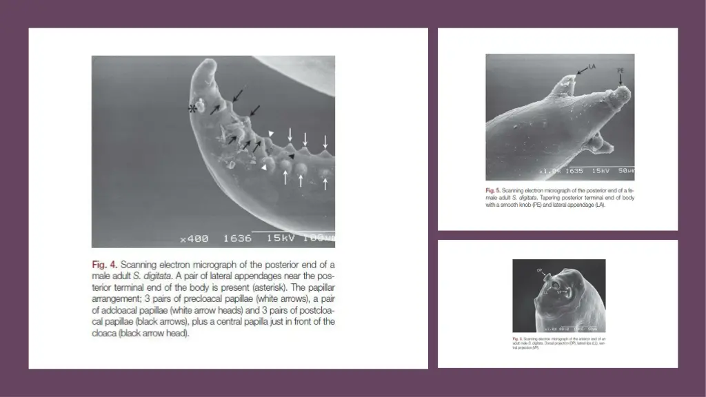 slide5