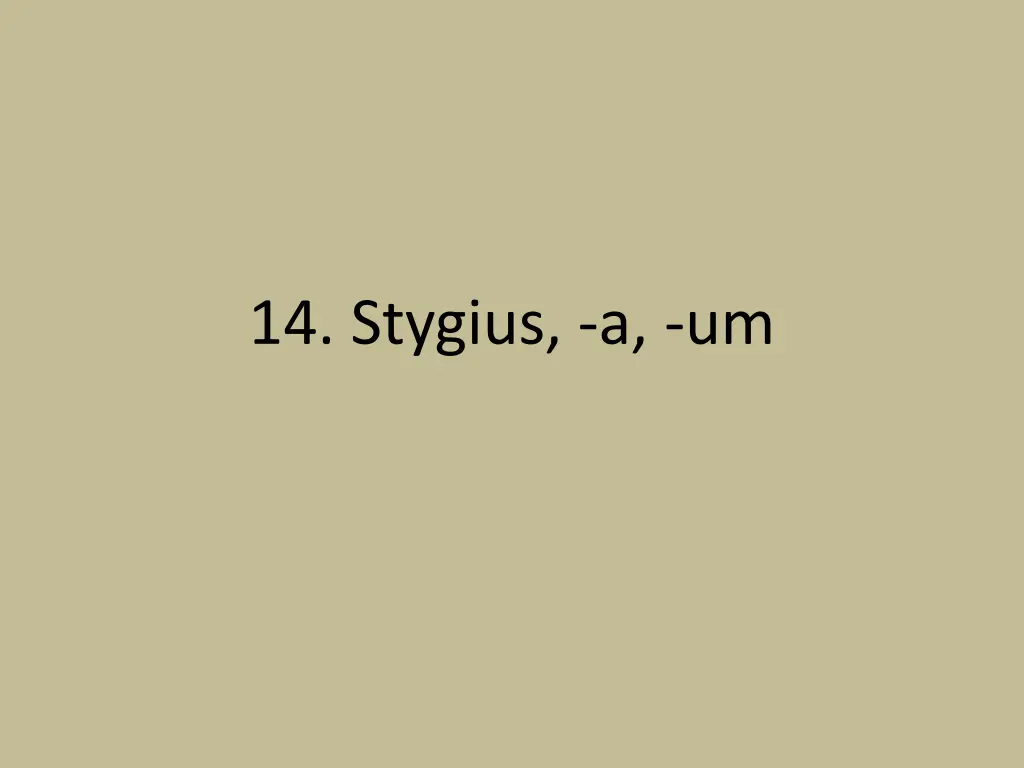 14 stygius a um