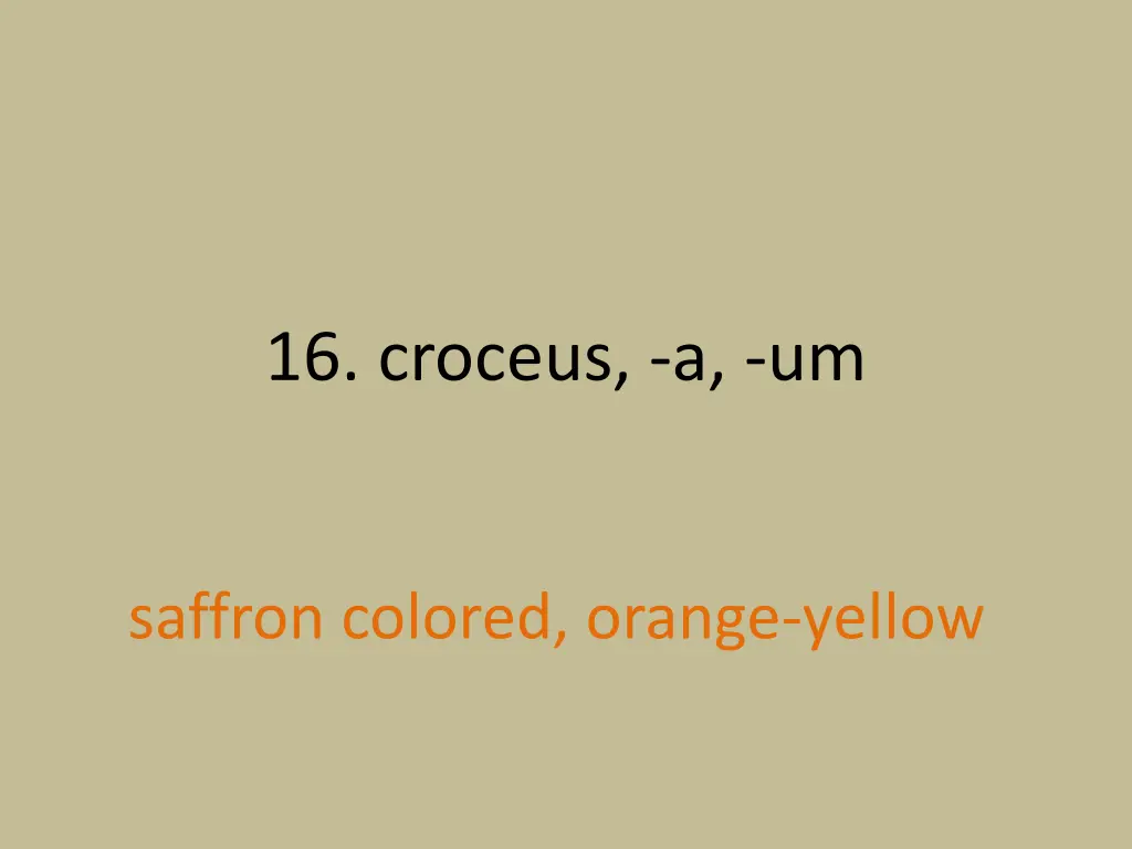 16 croceus a um 1
