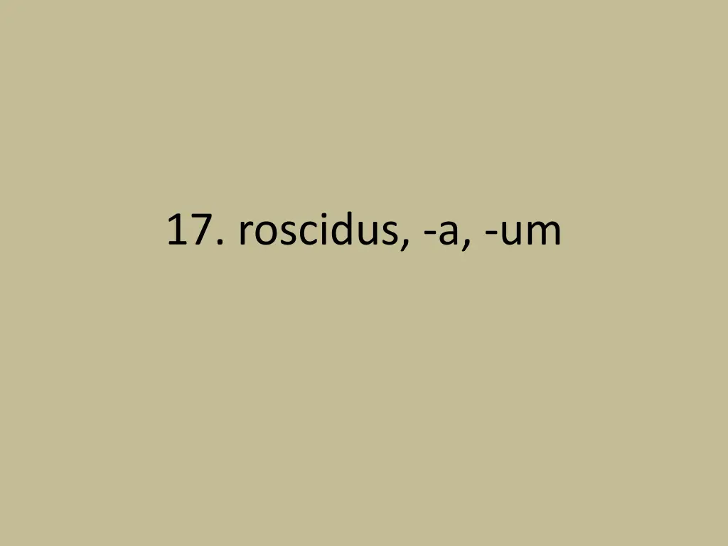 17 roscidus a um