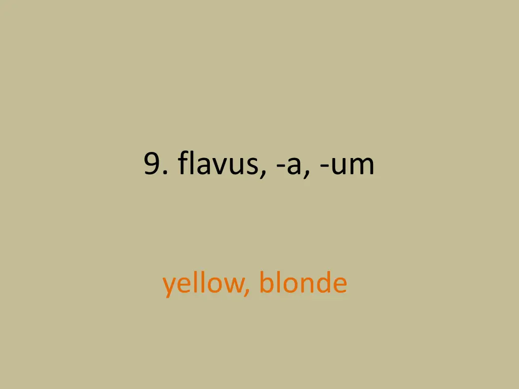 9 flavus a um 1