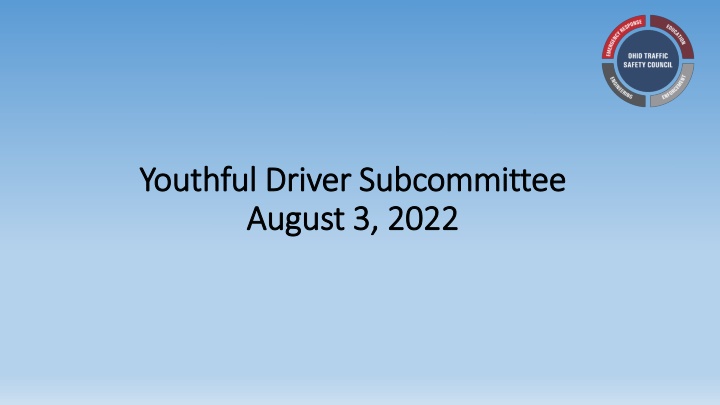 youthful driver youthful driver subcommittee