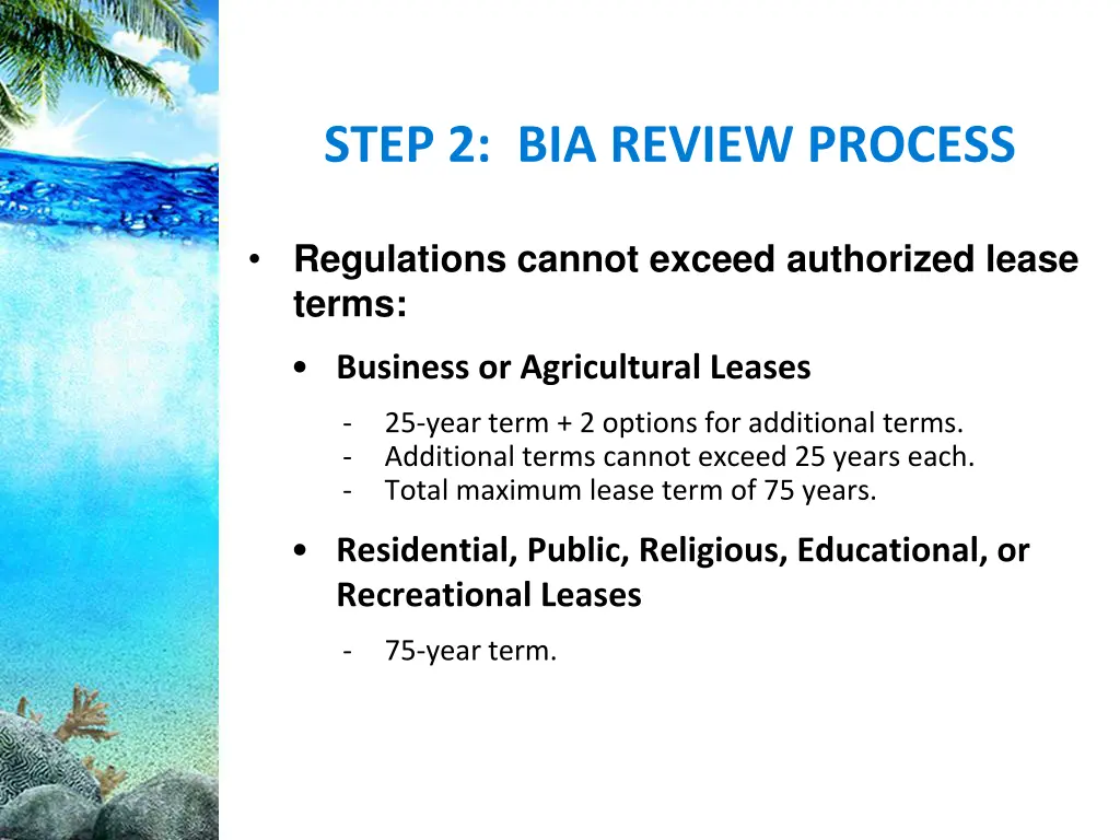 step 2 bia review process 1