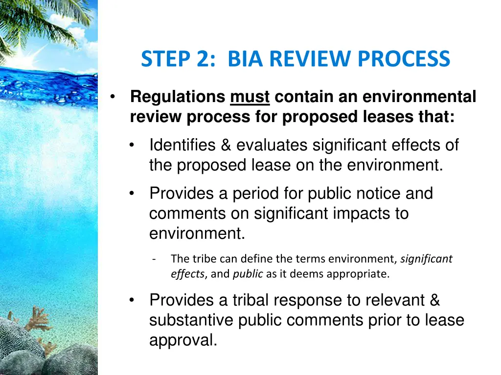 step 2 bia review process 2