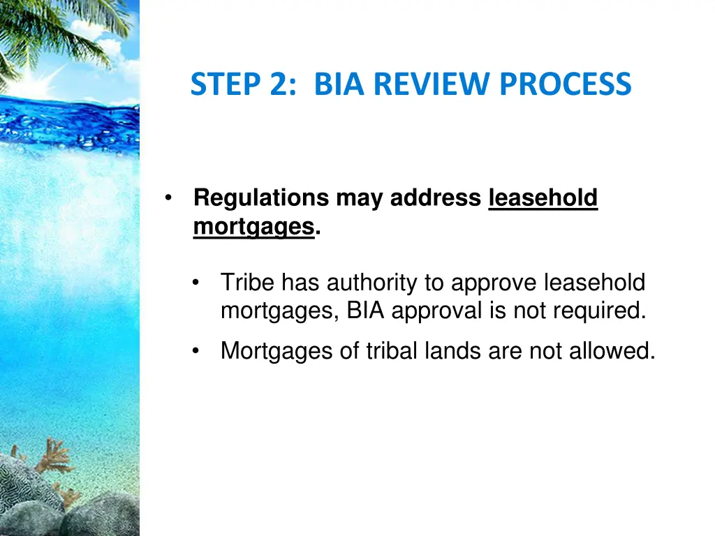 step 2 bia review process 3