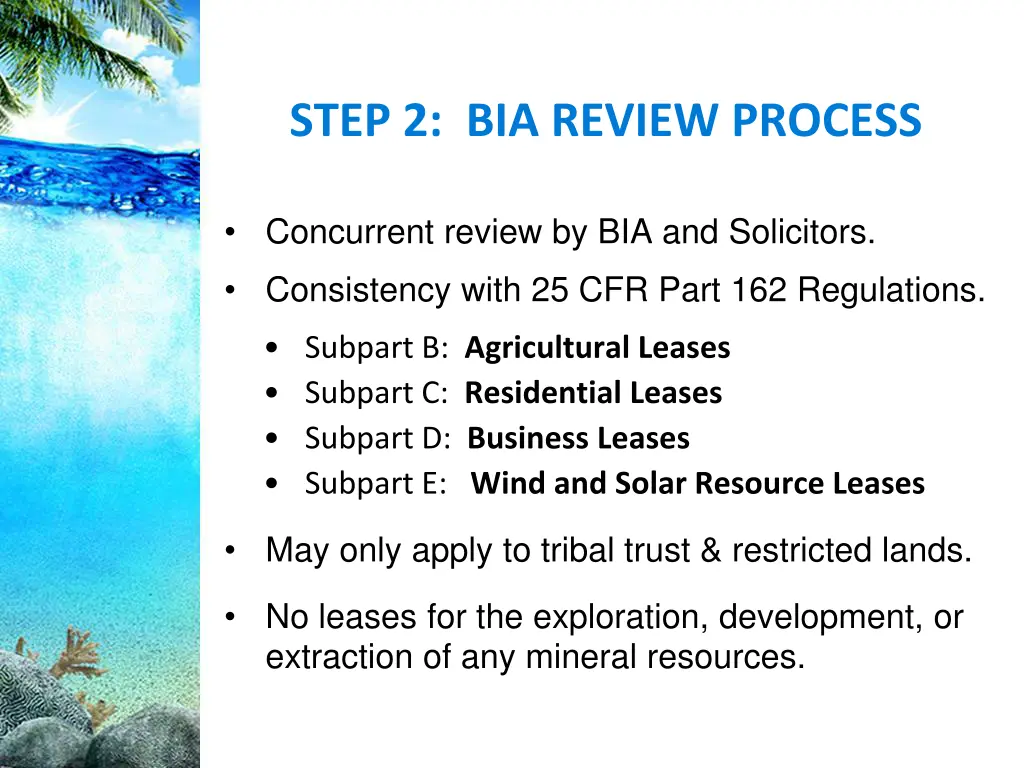 step 2 bia review process