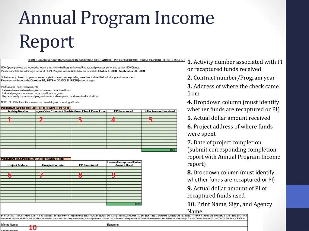 annual program income report