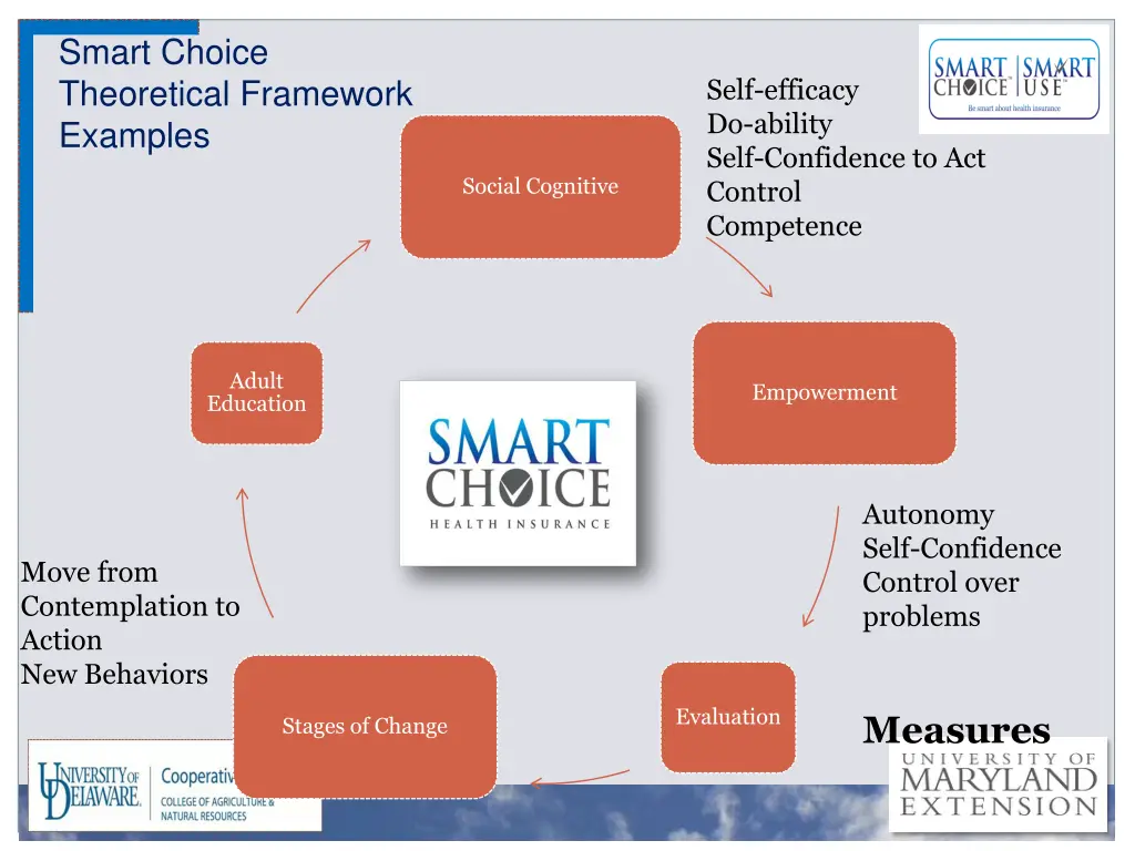 smart choice theoretical framework examples