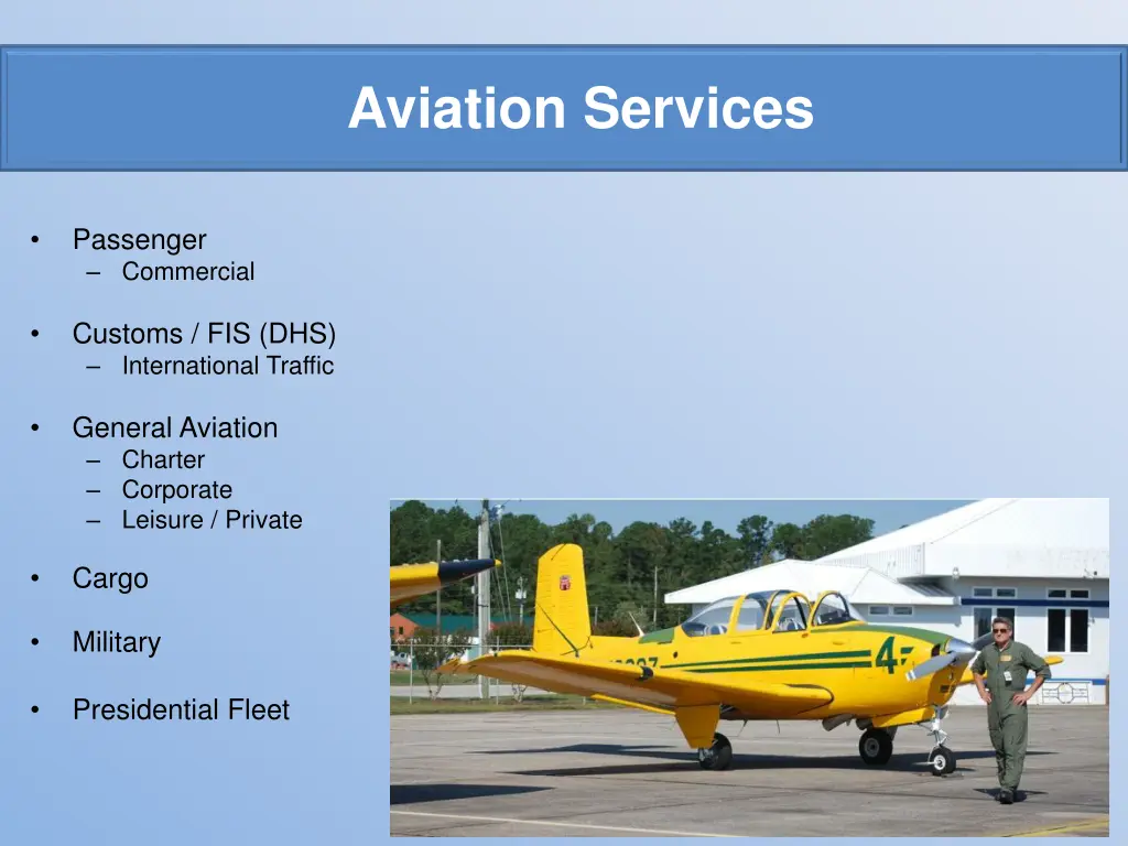 aviation services