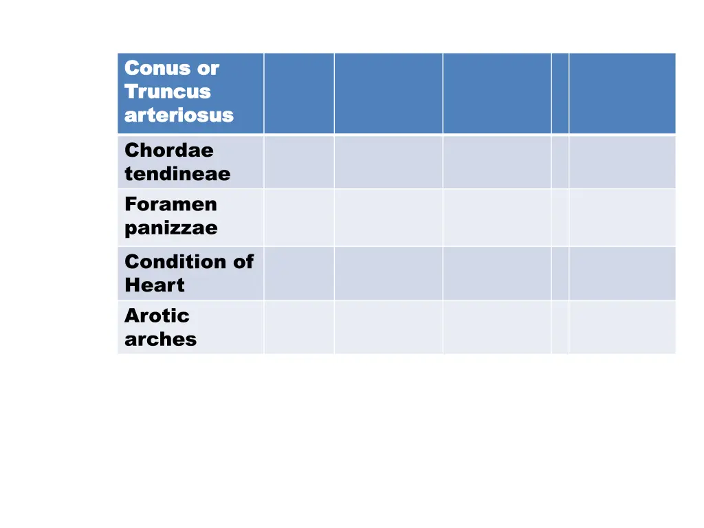 conus conus or truncus truncus arteriosus