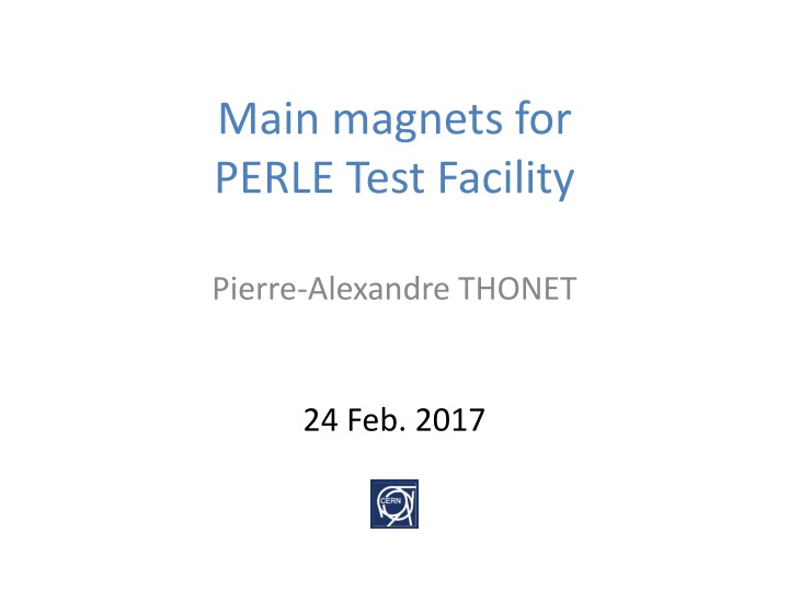 main magnets for perle test facility