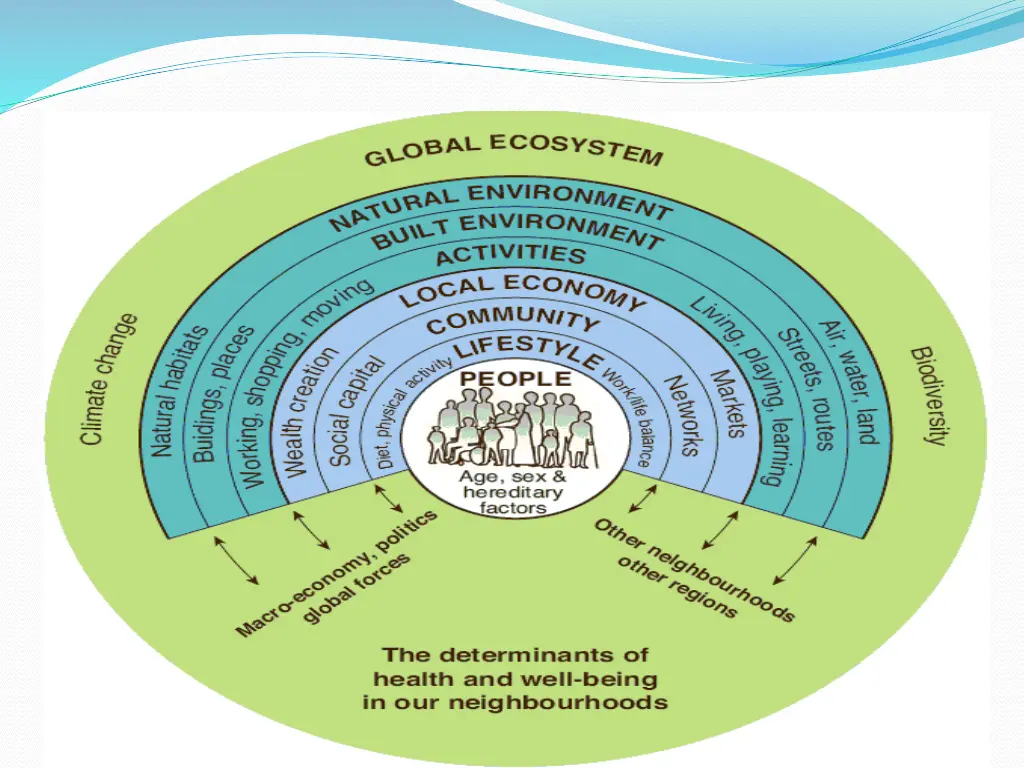 slide7