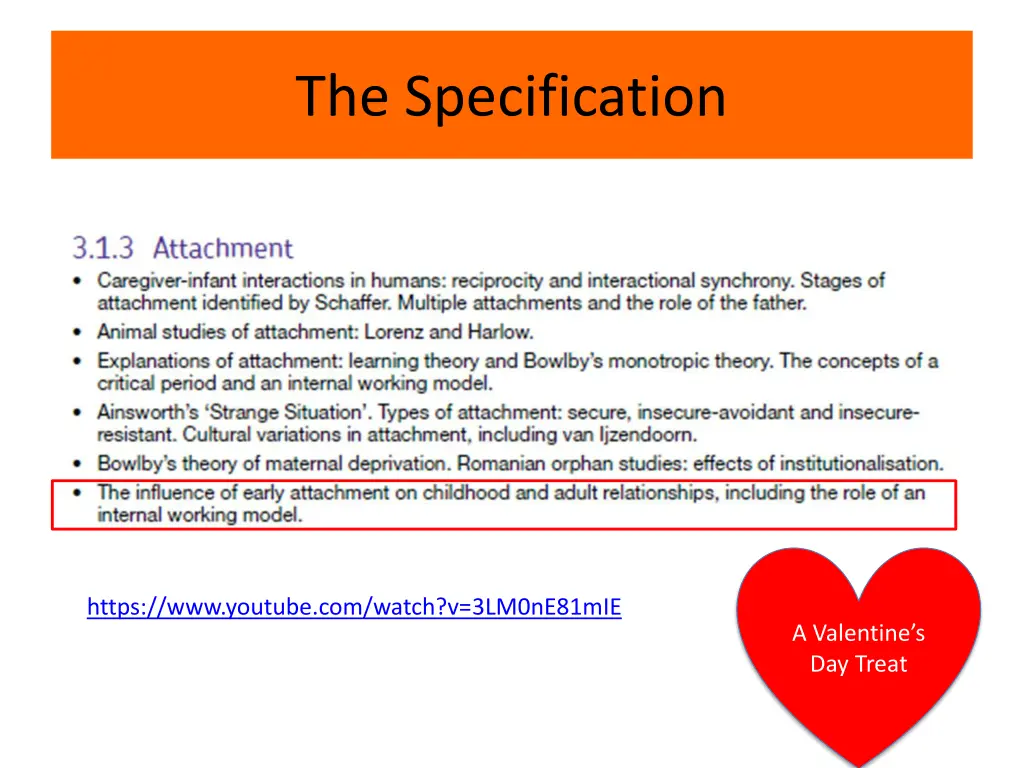 the specification