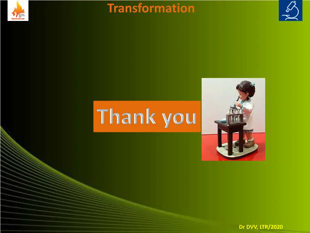 transformation 10