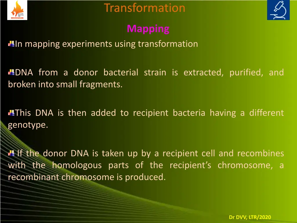transformation 3