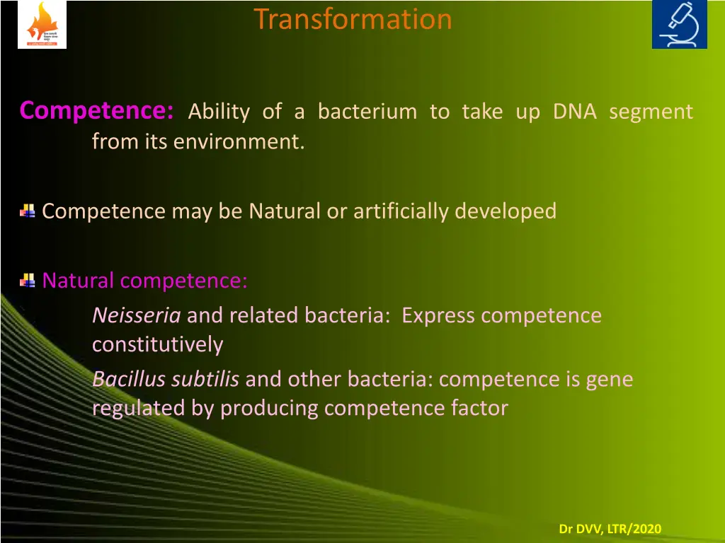 transformation 4