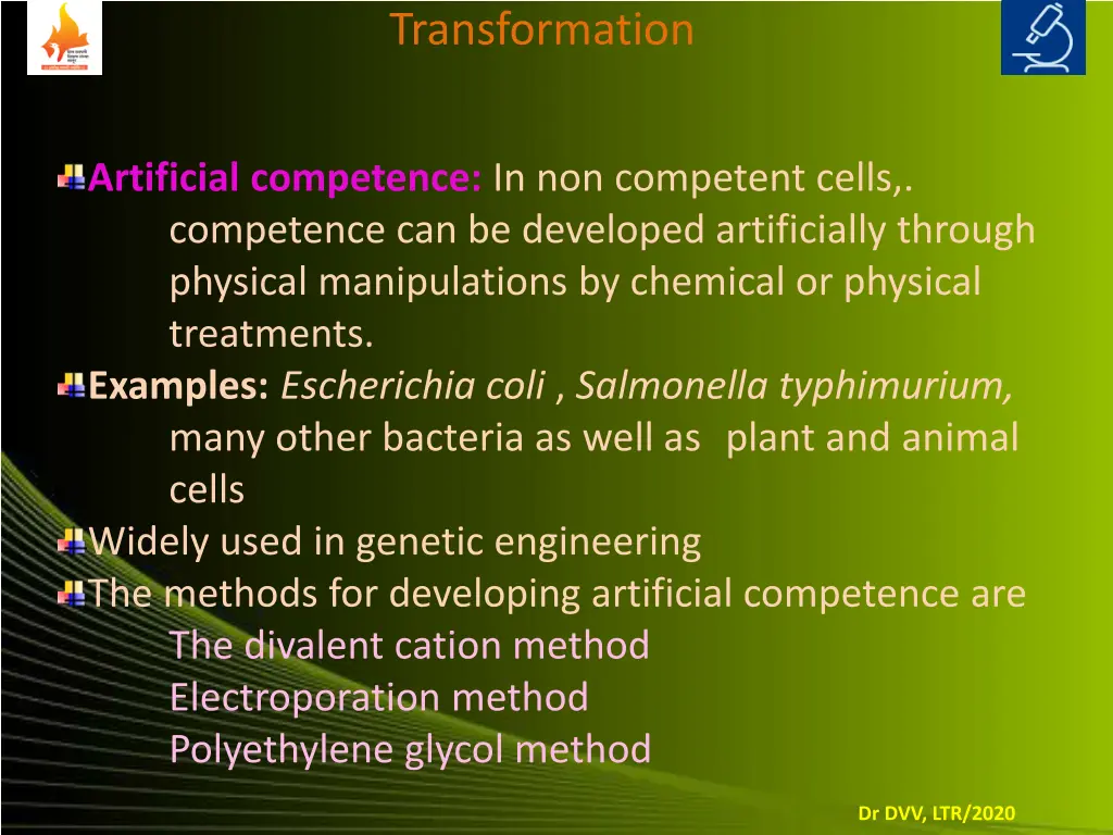 transformation 6